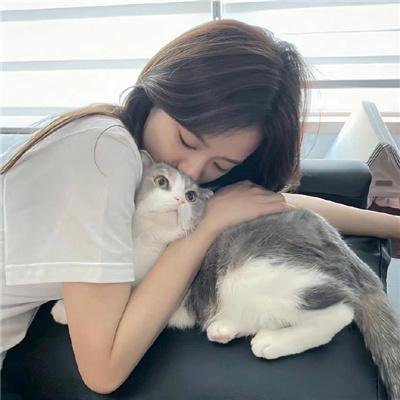 探长来访
